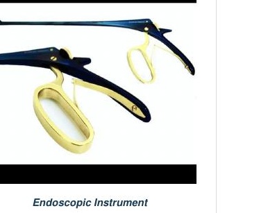 Endoscopic Instrument