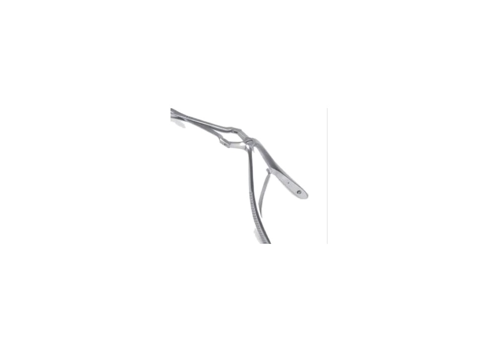 Endoscopic Forceps